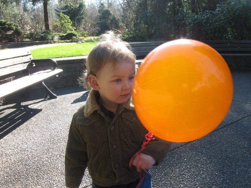 An orange
                balloon